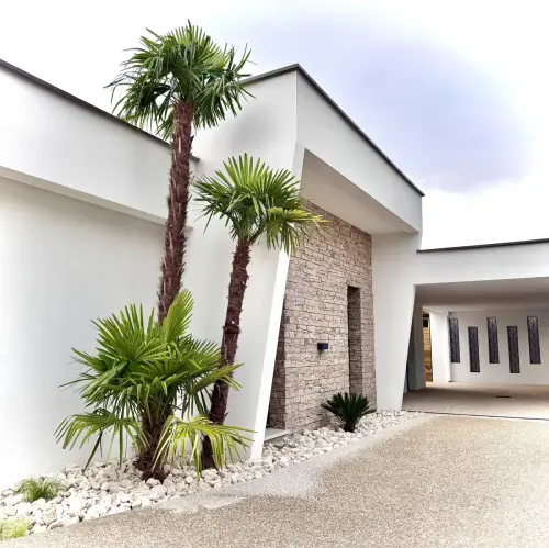 Béton désactivé et plantation